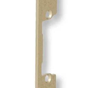 Frontale 25 Piatto Finitura Oro per Incontri Elettrici