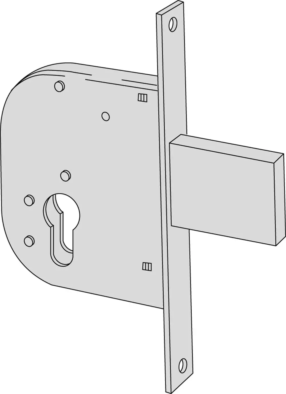 Serratura Da Infilare A Scrocco Per Cancelli Con Catenaccio Incorporato - immagine 2