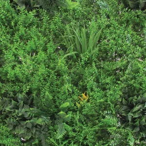 Sempreverde Siepe Verticale mt.1x1 Decorativa Da Parete