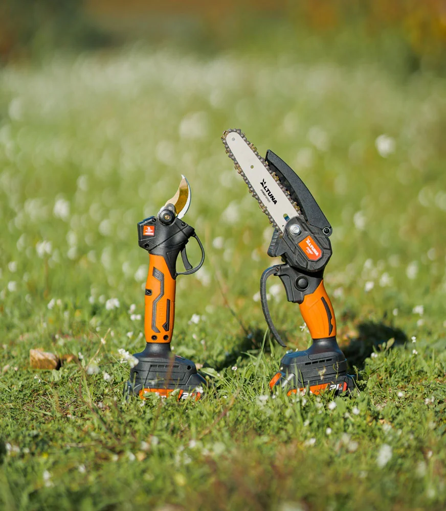 Kit Forbice/Minisega 2 Batterie 21V-2Ah + Asta Telescopica 108/163 cm