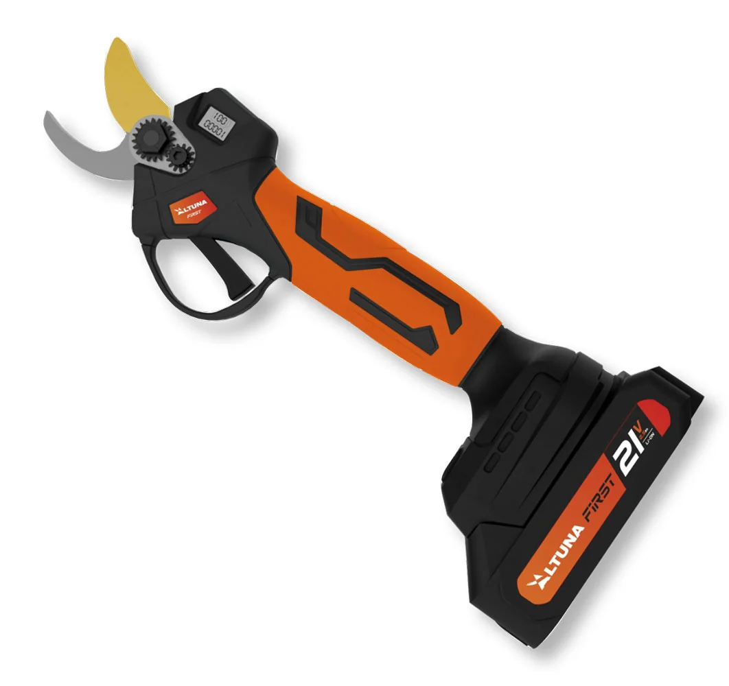 Kit Forbice/Minisega 2 Batterie 21V-2Ah + Asta Telescopica 108/163 cm - immagine 2