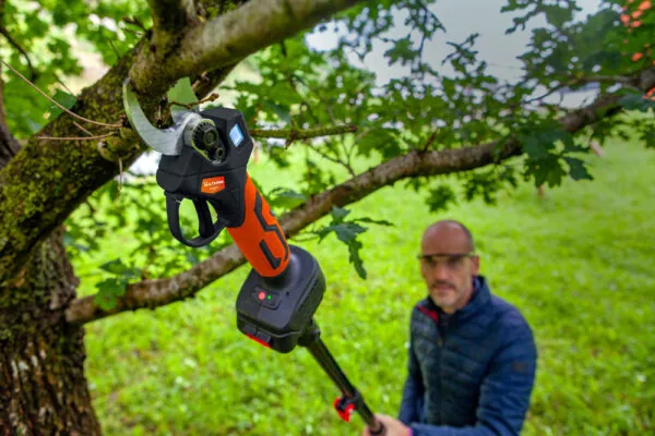 Kit Forbice/Minisega 2 Batterie 21V-2Ah + Asta Telescopica 108/163 cm - immagine 6