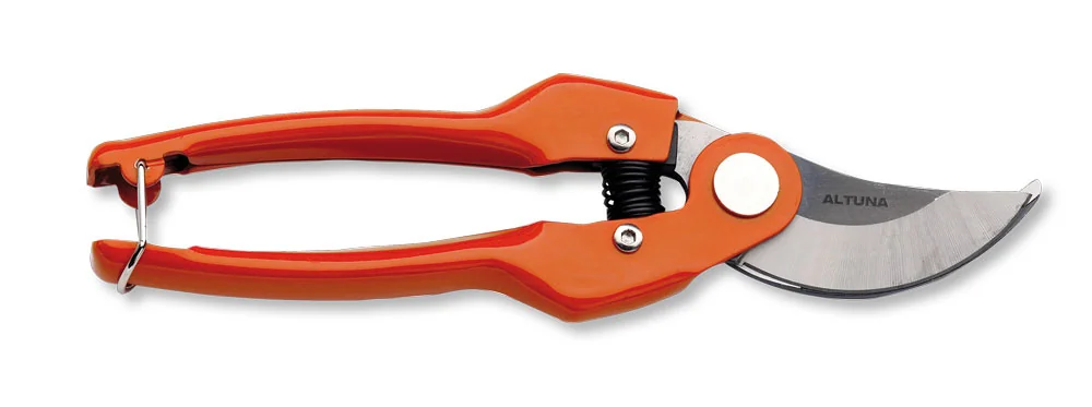 Forbici Pota Professionali 22CM