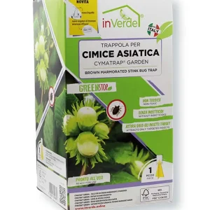 Trappola Per Cimice Asiatica Con Feromoni E Attrattivo