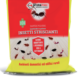 Insetti Striscianti Polvere 1kg