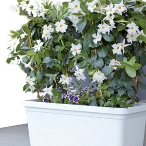 Fioriera Natural 80cm