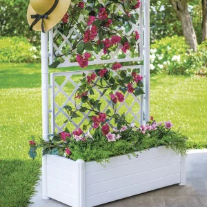 Fioriera Con Spalliera