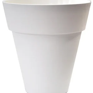 Vaso Conico Basso Dallas "Telcom"