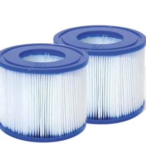 Set Due Cartucce Filtro Per Lay-Z-Spa (VI)