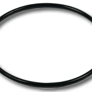 Guarnizione O-RING Per Serbatoio Filtro A Sabbia 58515