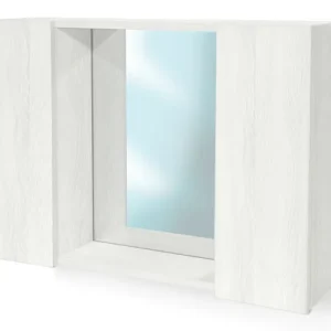 Mobile Pensile Da Bagno Con Specchio E 2 Ante